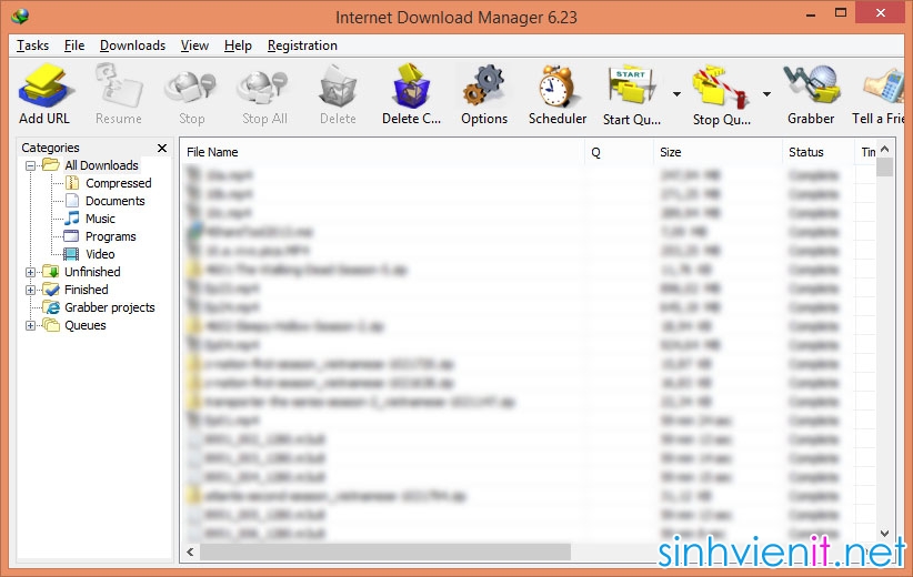 IDM 6.23 Build 12 Full Crack (Không Fake Serial Number)